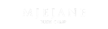 Mjejane Bush Camp